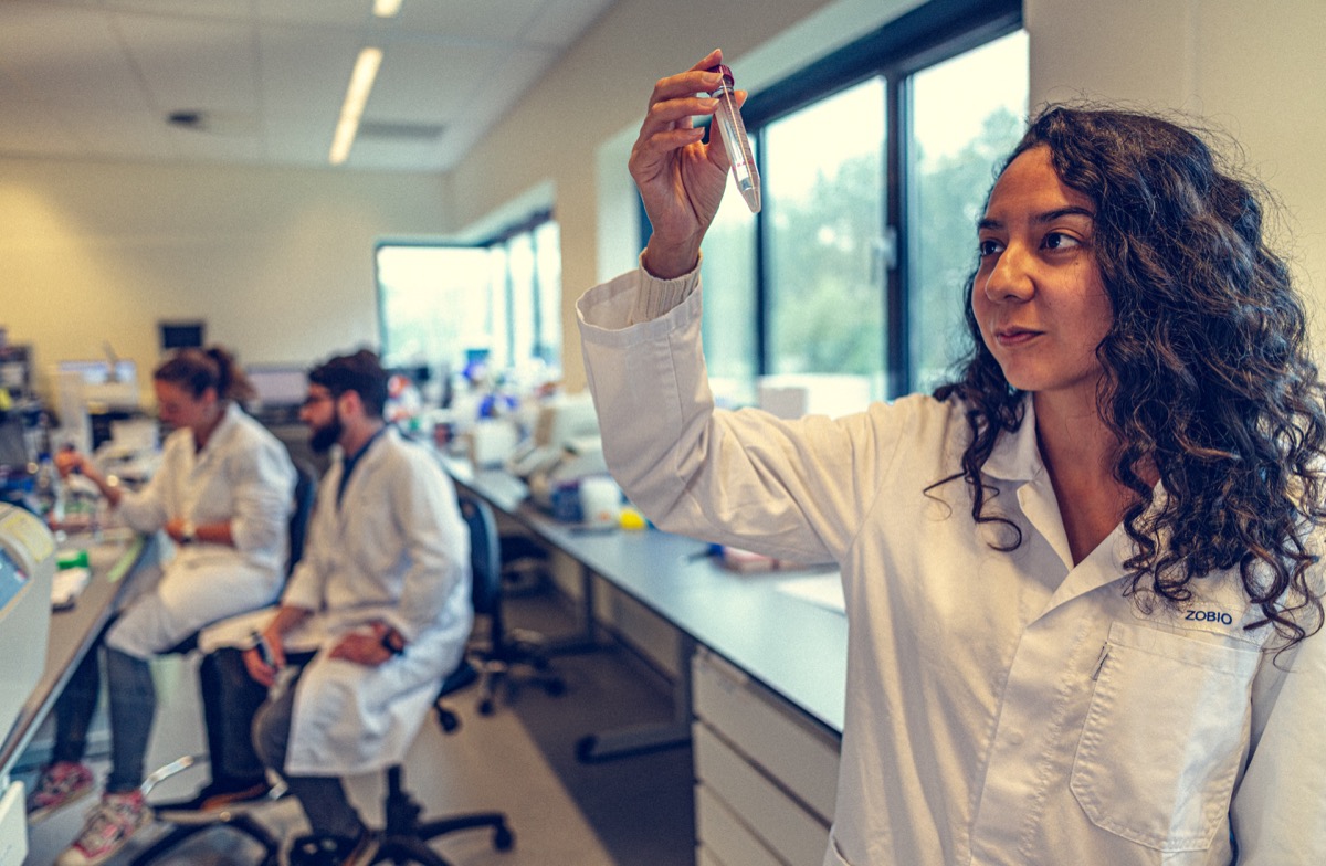 Researcher inspecting test tube in laboratory