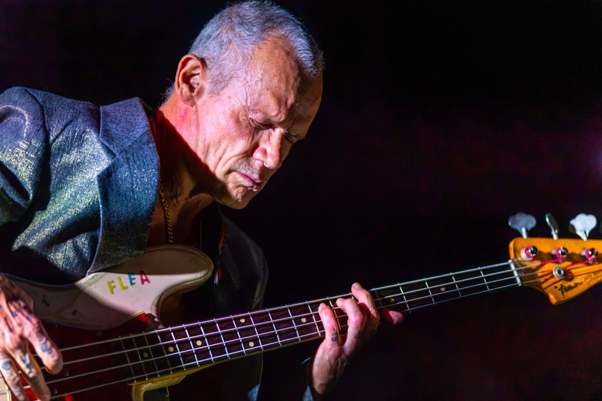 Concertfotografie North Sea Jazz — Flea op podium